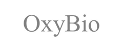 Logo 4
